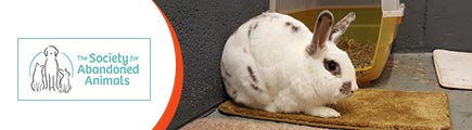 Society For Abandoned Animals