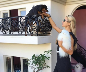 Paris Hilton’s Puppy Mansion